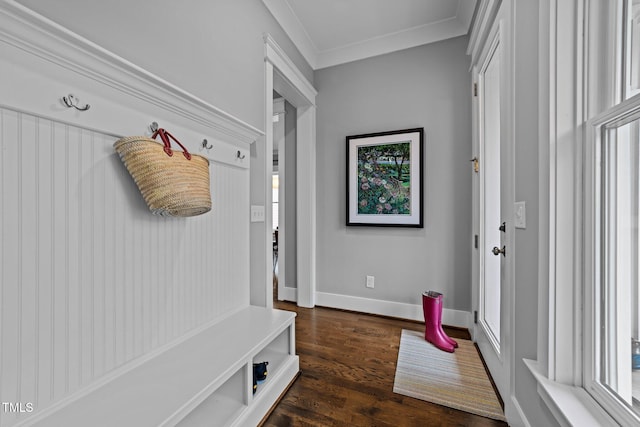 mudroom with crown molding and dark hardwood / wood-style floors