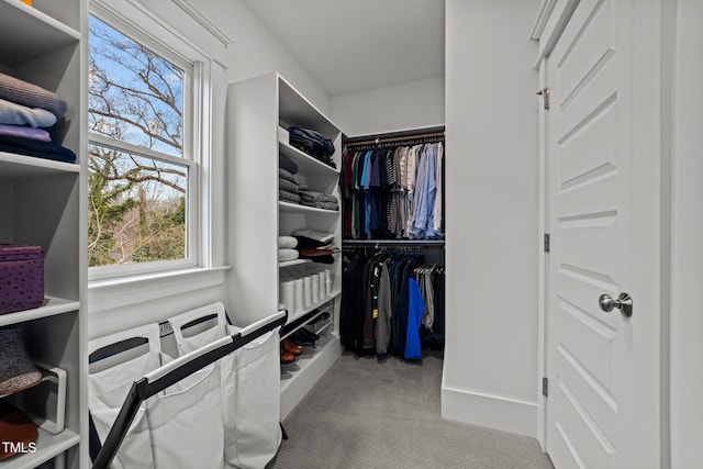 walk in closet featuring light carpet