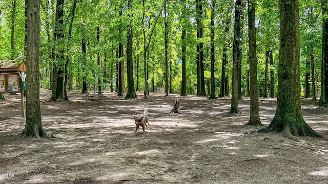 1000 Norris St, Raleigh, NC 27604 - view of local wilderness