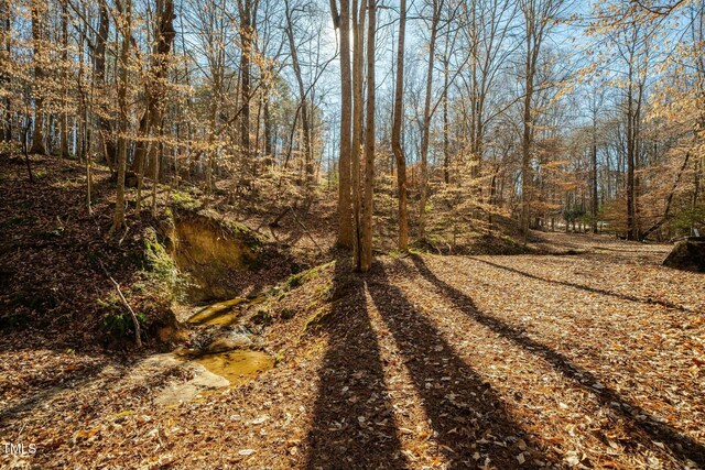 0 Washington St, Clayton, NC 27520