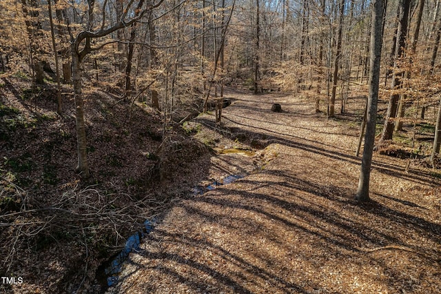 0 Washington St, Clayton, NC 27520
