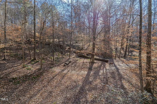 0 Washington St, Clayton, NC 27520