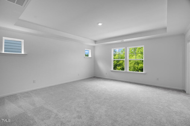 1264 Hardin Hill Ln, Knightdale, NC 27545 - carpeted empty room with a raised ceiling