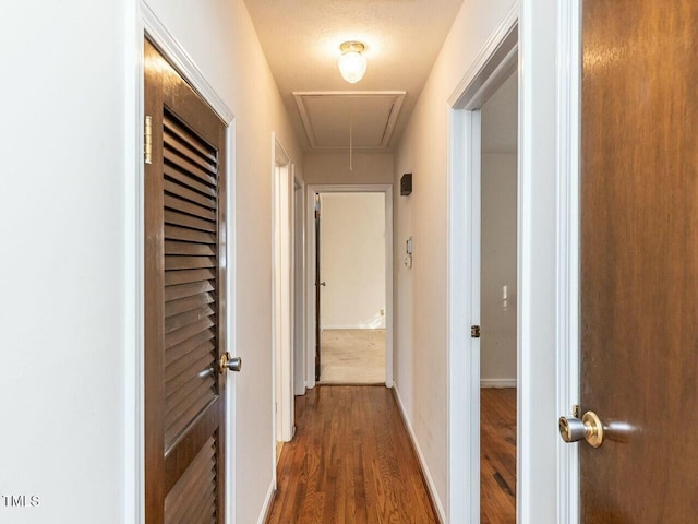 hallway featuring dark hardwood / wood-style flooring