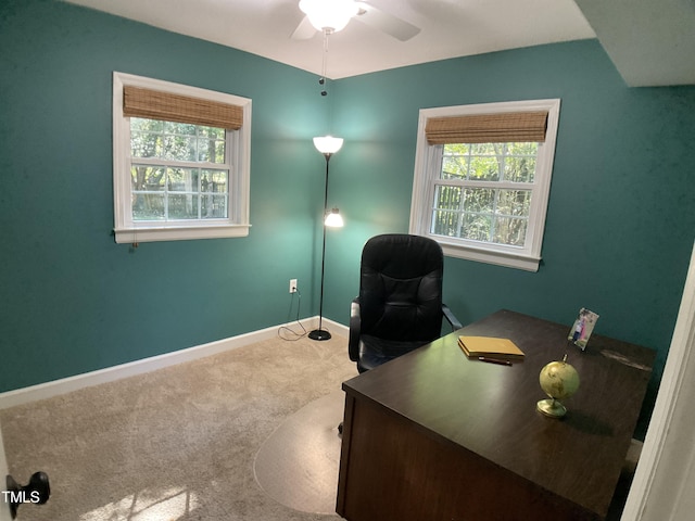 office space with ceiling fan and carpet flooring