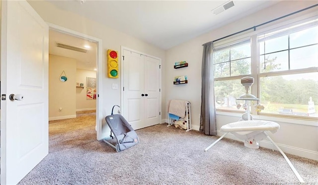 interior space with light colored carpet and a healthy amount of sunlight