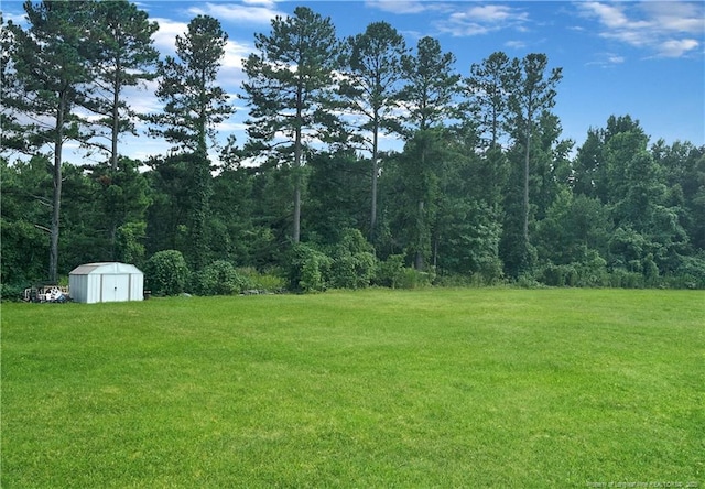 view of yard with a shed