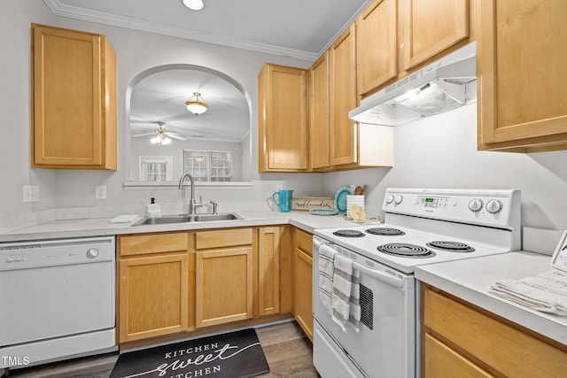 kitchen featuring dark wood-type flooring, sink, white appliances, ornamental molding, and ceiling fan