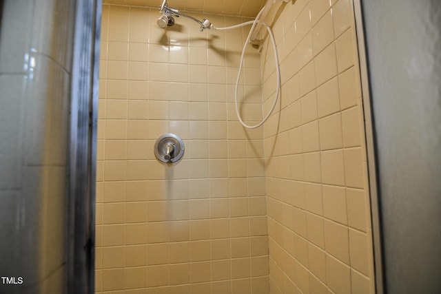 room details with tiled shower