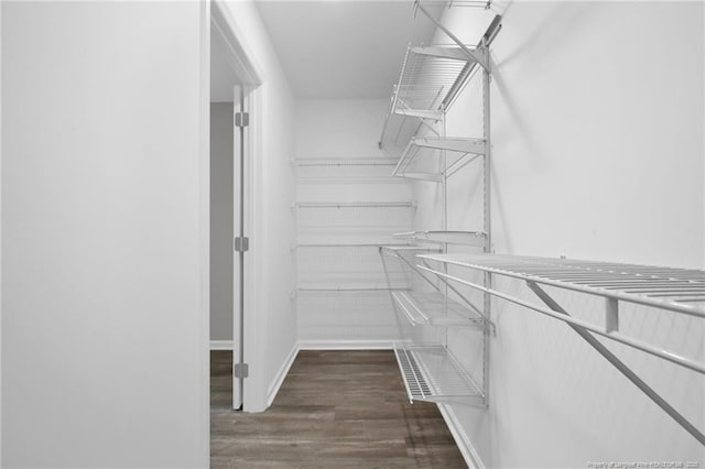 spacious closet featuring dark wood-type flooring