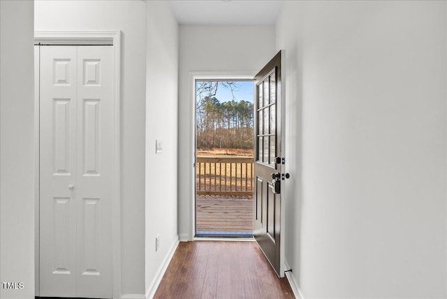 entryway featuring dark hardwood / wood-style flooring