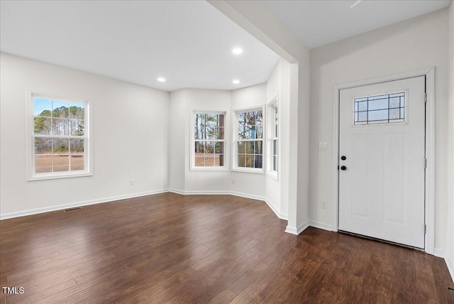 entryway featuring dark hardwood / wood-style flooring and a healthy amount of sunlight