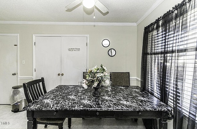 2410 Trull St SW, Wilson, NC 27893 - photo 23