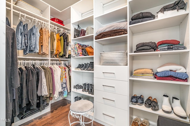 walk in closet featuring dark hardwood / wood-style floors