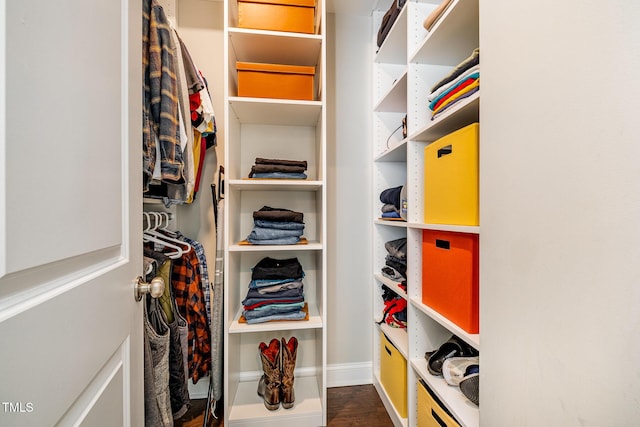 view of spacious closet