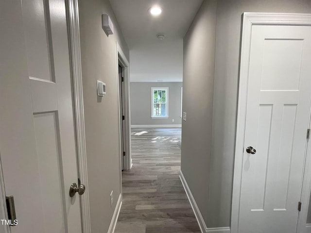 corridor with dark wood-type flooring