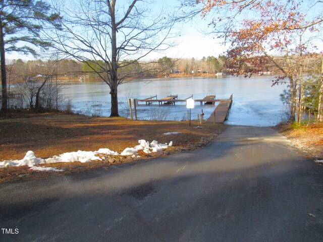 dock area with a water view