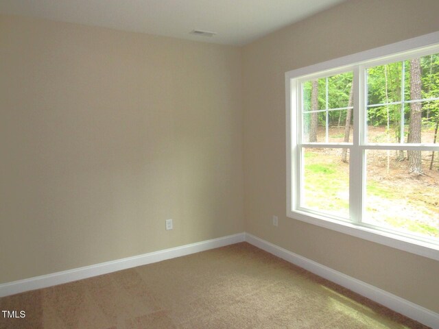 122 Beaver Trl, Littleton, NC 27850 - unfurnished room featuring healthy amount of natural light, baseboards, and light carpet
