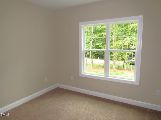 122 Beaver Trl, Littleton, NC 27850 - spare room featuring plenty of natural light, light colored carpet, and baseboards