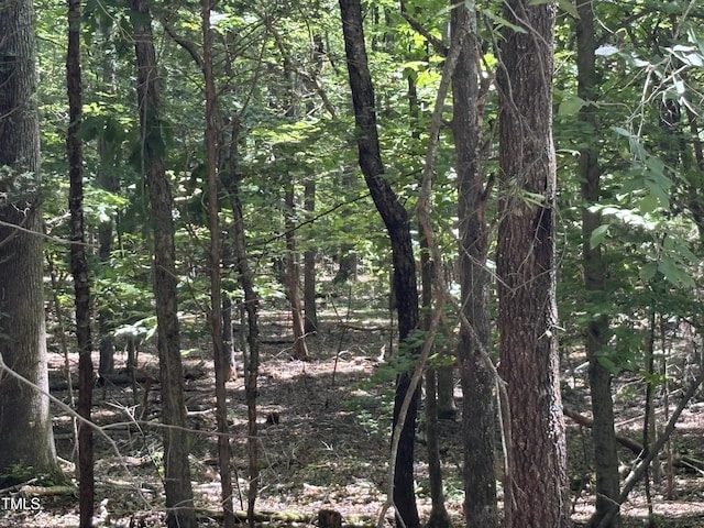 LOT10 Bellechase Rd, Hillsborough, NC 27278