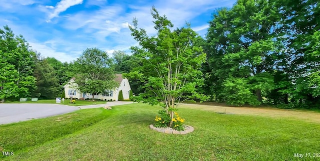 270 W Silverado Ct, Kenly, NC 27542 - view of green lawn