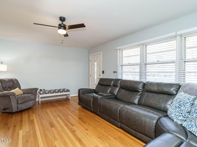 living room with ceiling fan and light hardwood / wood-style flooring