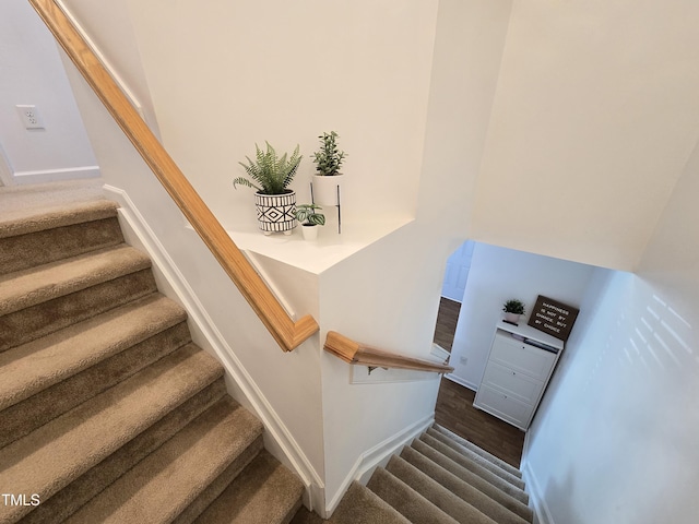 stairway with wood-type flooring