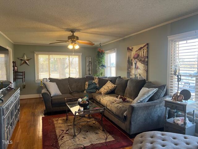 living room with a textured ceiling, ceiling fan, dark hardwood / wood-style flooring, and crown molding