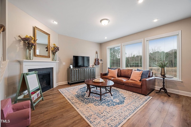 living room featuring wood-type flooring