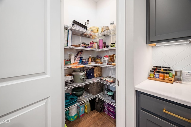 view of pantry