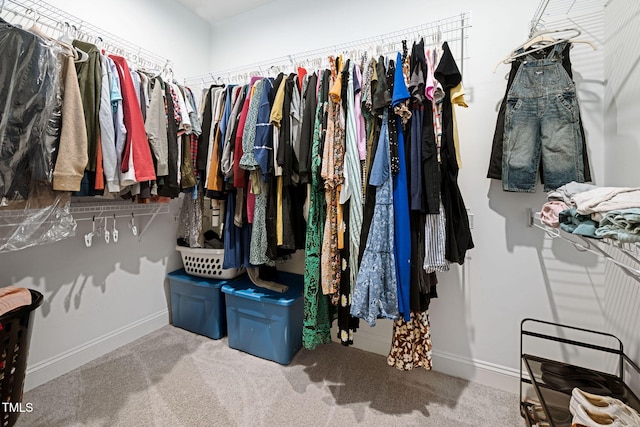 walk in closet featuring carpet floors