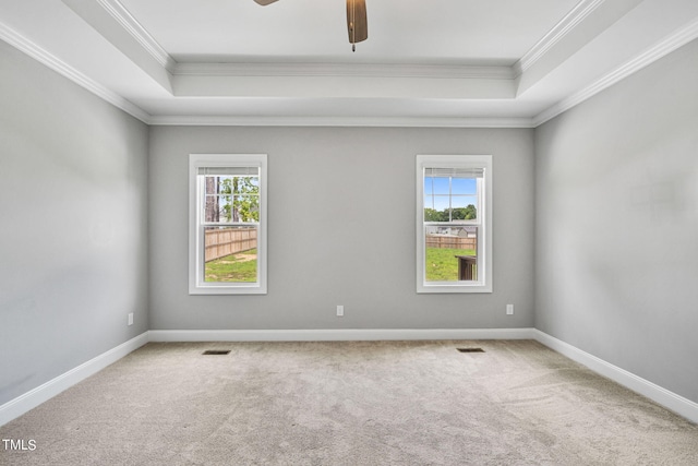 empty room with carpet, a tray ceiling, and a healthy amount of sunlight