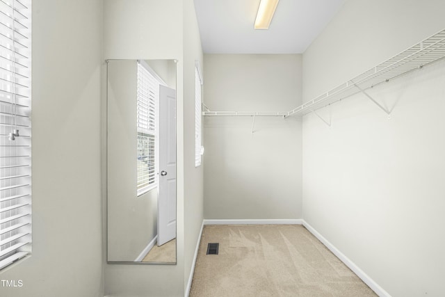 walk in closet with light colored carpet