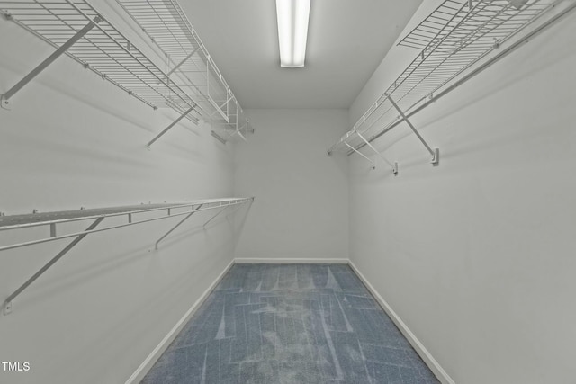 walk in closet with carpet flooring