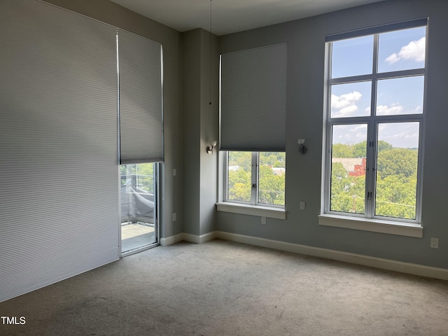 618 N Boylan Ave Unit 1028, Raleigh, NC 27603 - photo 16