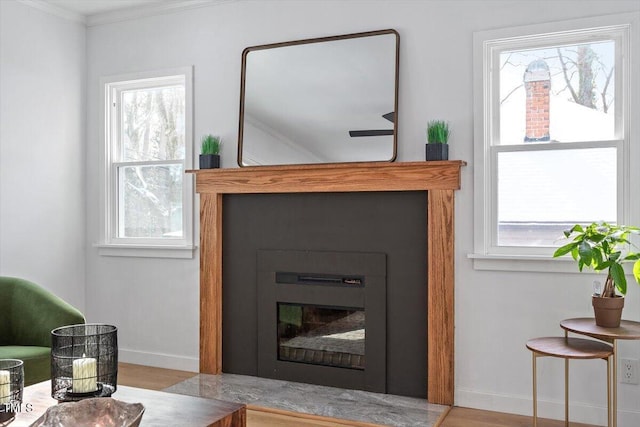 interior details with ornamental molding and hardwood / wood-style floors