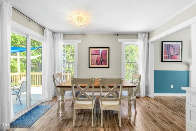 dining room featuring light wood-type flooring and a healthy amount of sunlight