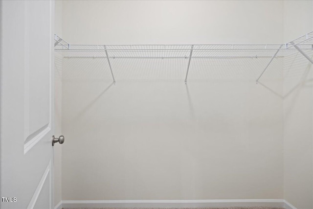 view of spacious closet