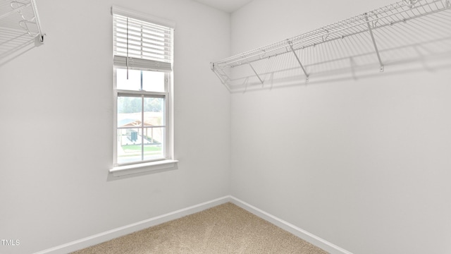 walk in closet with carpet