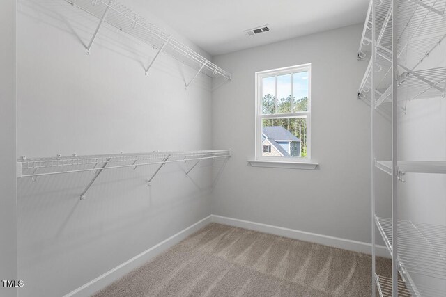 spacious closet with carpet flooring and visible vents