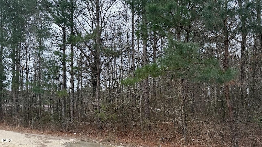 4 Titan Roberts Rd, Erwin, NC 28339