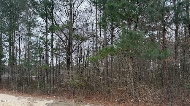 4 Titan Roberts Rd, Erwin, NC 28339