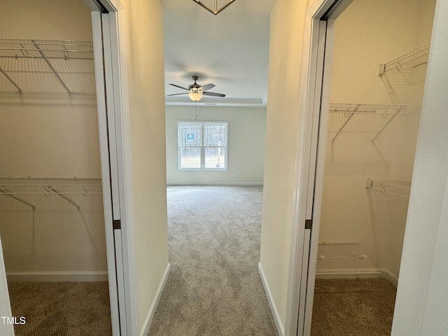 walk in closet with ceiling fan and carpet floors