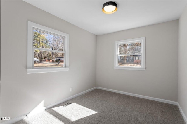 carpeted empty room with a healthy amount of sunlight