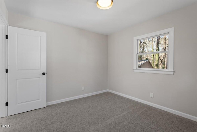 unfurnished room featuring carpet