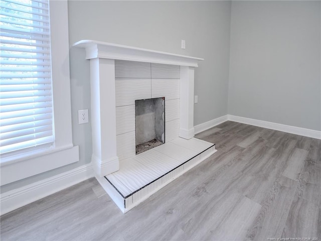 details with wood-type flooring and a fireplace