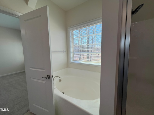 bathroom featuring a bathing tub