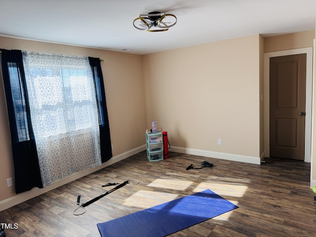 workout room with wood-type flooring