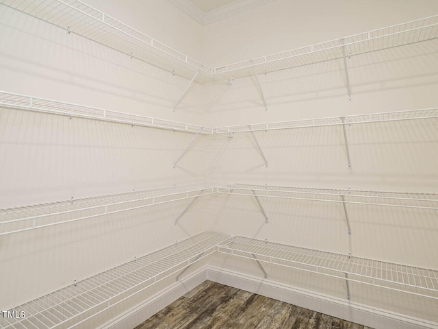 walk in closet with wood-type flooring