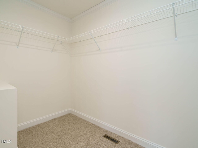 spacious closet featuring carpet floors